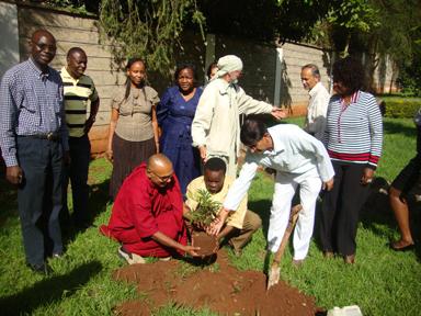 Planting a Peace Tree