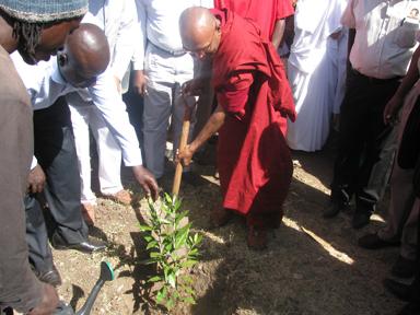 Tree Planting in Kibera, Kenya (Peace Tree Project)